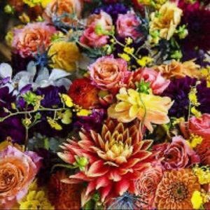 Meet your Posher, Maddie